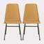 Chaise de salle à manger (ensemble de 2)-118100697