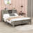 Castilloux Platform Storage Bed-517405507
