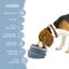 Bol pour chien-86406248