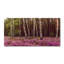 50cm W x 100cm L Glass Peel and Stick Panel
