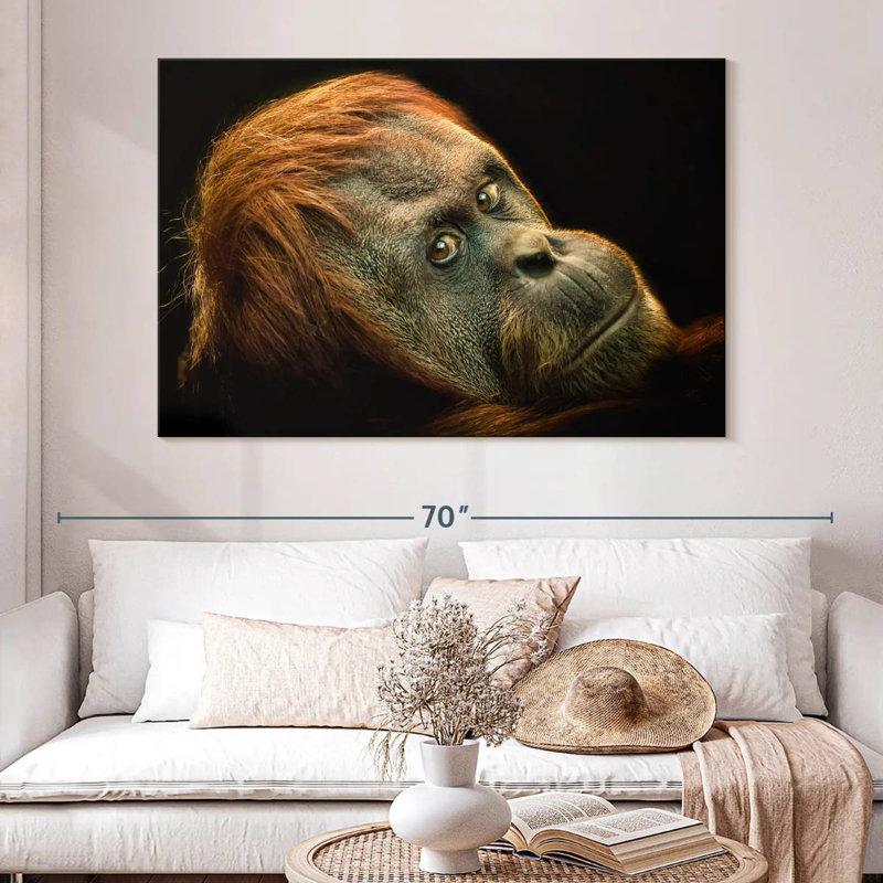 Brampt Dramatic Orangutan, 34" H x 51" W