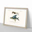 Seahorse & Flying Fish by Charles d' Orbigny - Picture Frame Painting Print-55614182-55614184