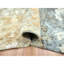 9'x12'1" Brown Densely Woven Abstract Design Pure Wool Hand Knotted Rug 92BD34C201A049B9B9848FCC2B3F4F7A