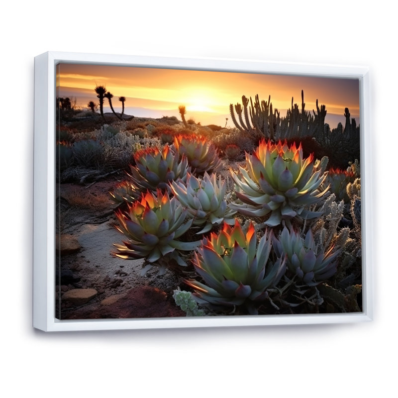 «Succulent Desert Cactus Field Burning Sunset III» - Art mural succulent, H 24 po x l 32 po x P 1 po, Cadre flottant blanc