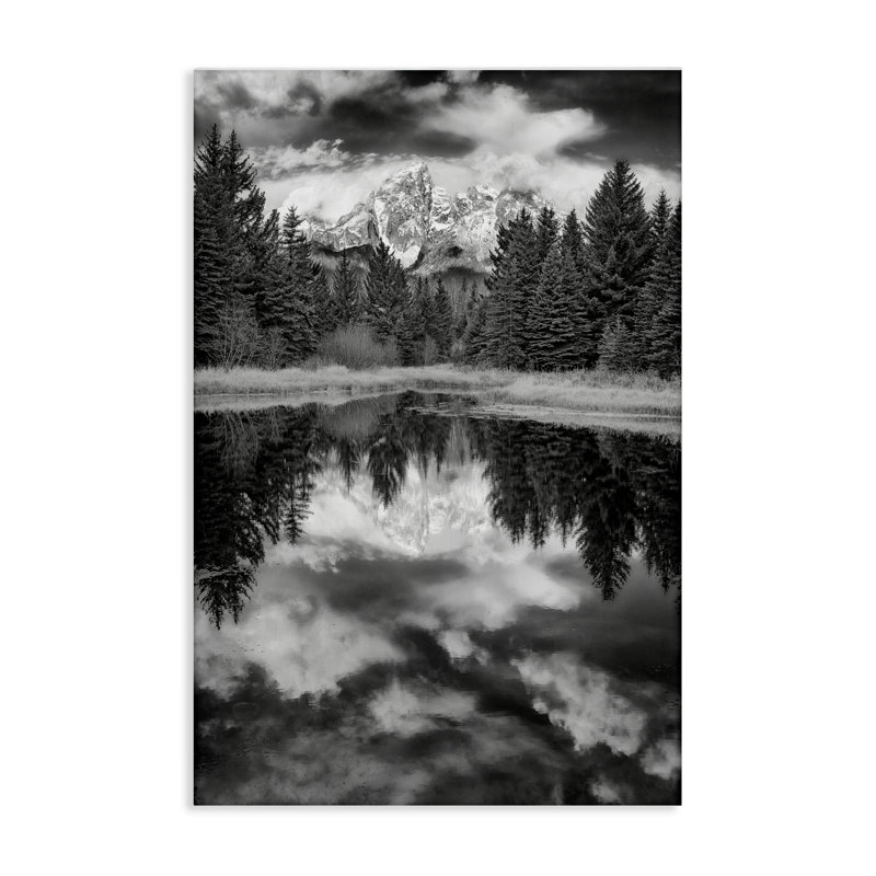 «Black & White Forest Reflection» par Rick Berk, H 24 po x l 16 po