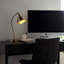 Ziemer Metal Desk Lamp