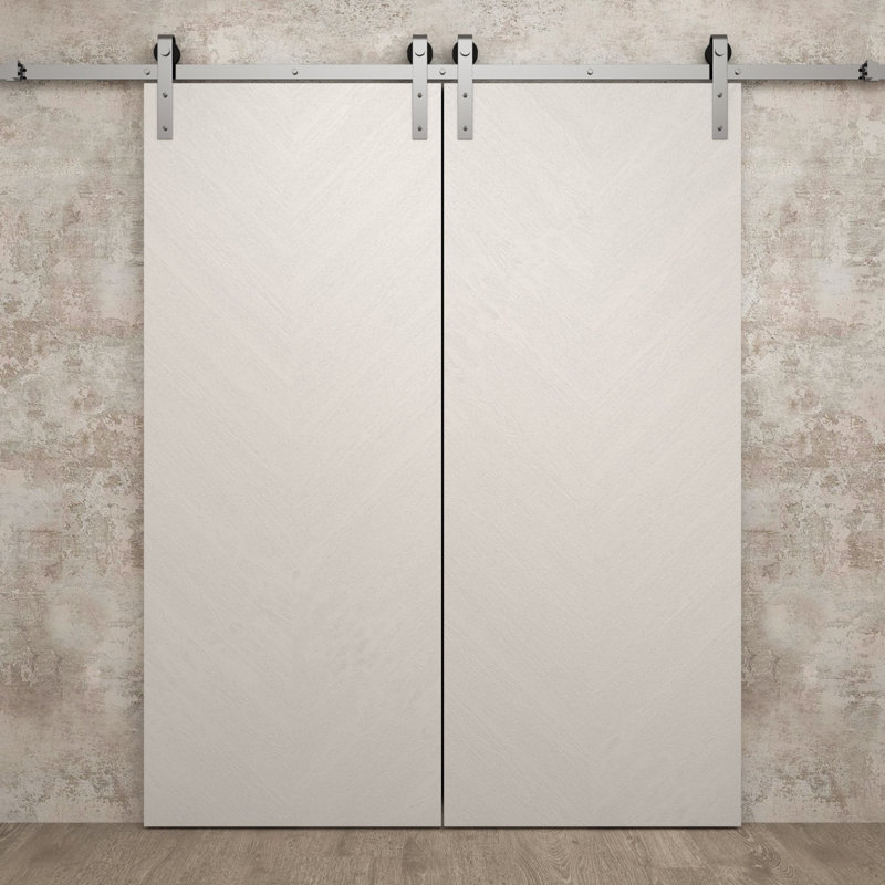 Porte de grange double moderne 36 x 80 pouces Ego 5005 Chêne blanc peint Ensemble de rails argentés 13 pi Portes intérieures à panneaux pleins