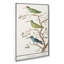 Three Hummingbirds by A.B. De Boodt - Wrapped Canvas Painting-55358275
