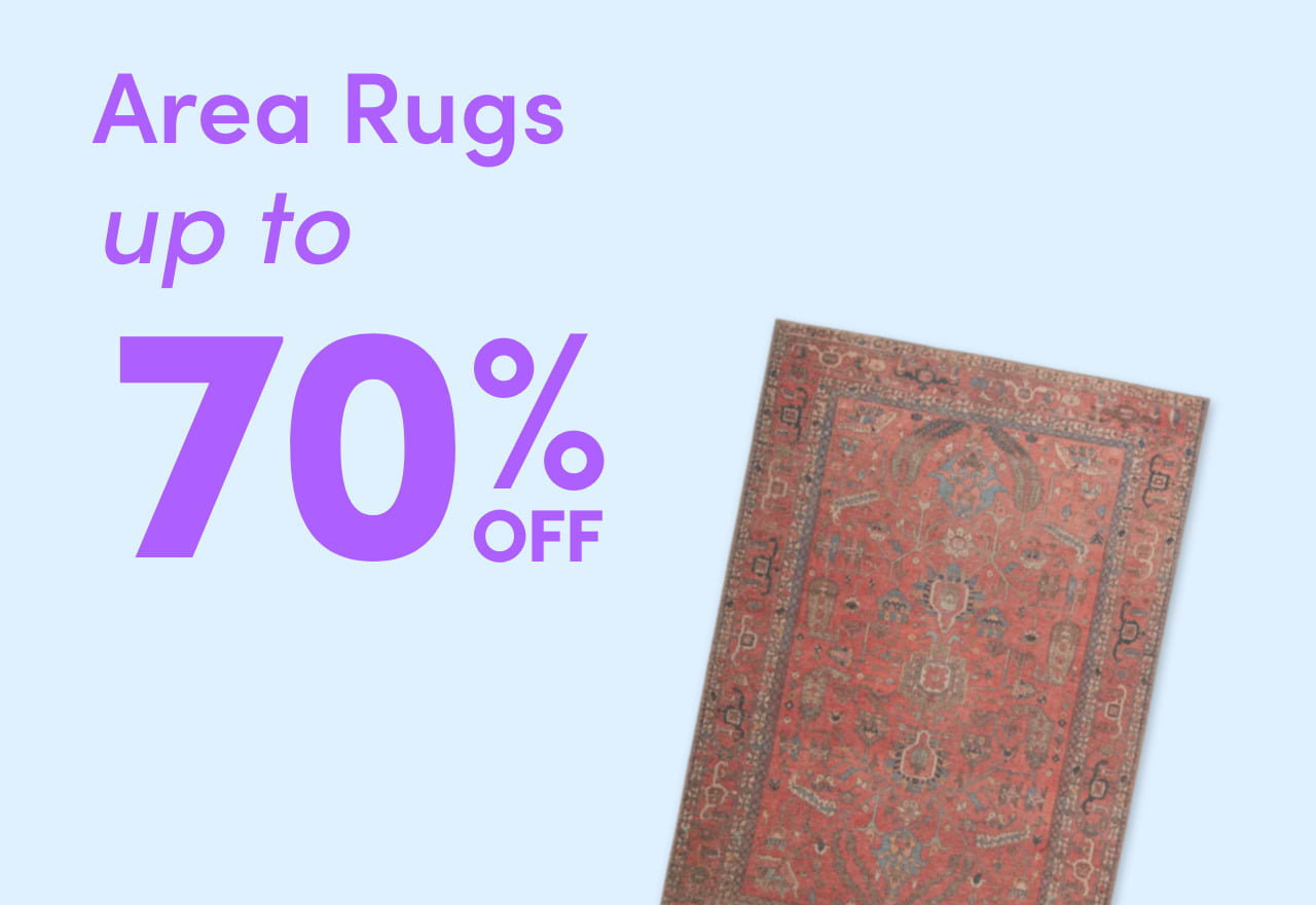 Area Rug Clearance 2024 Wayfair   Area Rug Clearance 