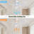 38 Inch Ceiling Fan Without Light