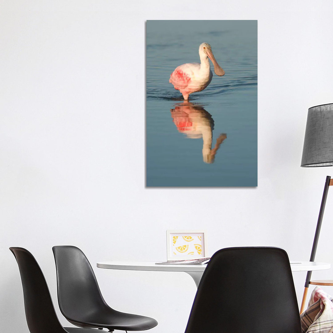 Roseate Spoonbill Wading, Fort Myers Beach, Florida by Steve Gettle - Wrapped Canvas Print