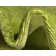 Tapis vert Aiden-Lee