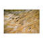 Art sur toile John Fan Journey II-474047461