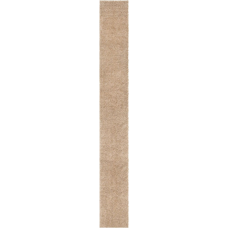 Carlosadrian Oriental Indoor Rug, Runner 2'7" x 16'5"