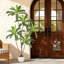 Faux Plant-2143649687