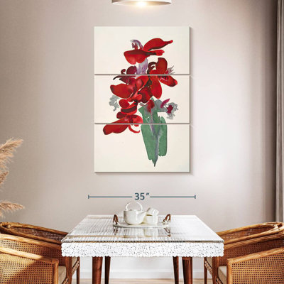 Harnek Red Canna 1915