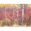 Swan Valley Autumn Portrait #3 Print by Bruce Heinemann-70852430-92904079-132872369
