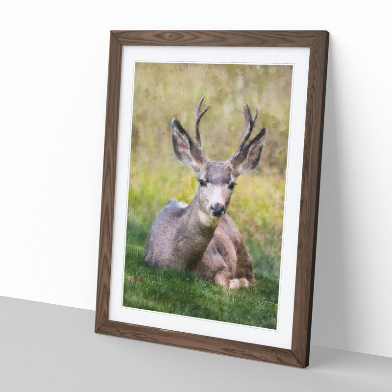 A Resting Deer - Picture Frame Painting, 36cm H x 27cm W x 2cm D, Walnut Framed