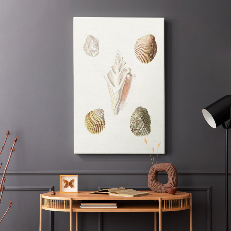 Pastel Knorr Shells - Pasta, H 60 po x l 40 po
