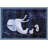 «Delphinus, Equuleus and Pegassus», impression
