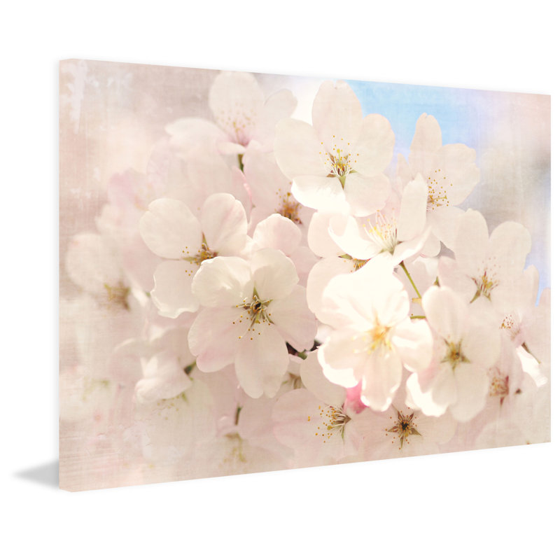 Le printemps a commencé - reproduction de photo sur toile, H 8 po x l 12 po x P 1,5 po