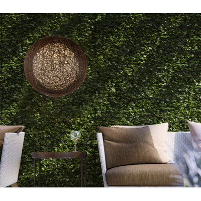 Areyanna Outdoor Pendant