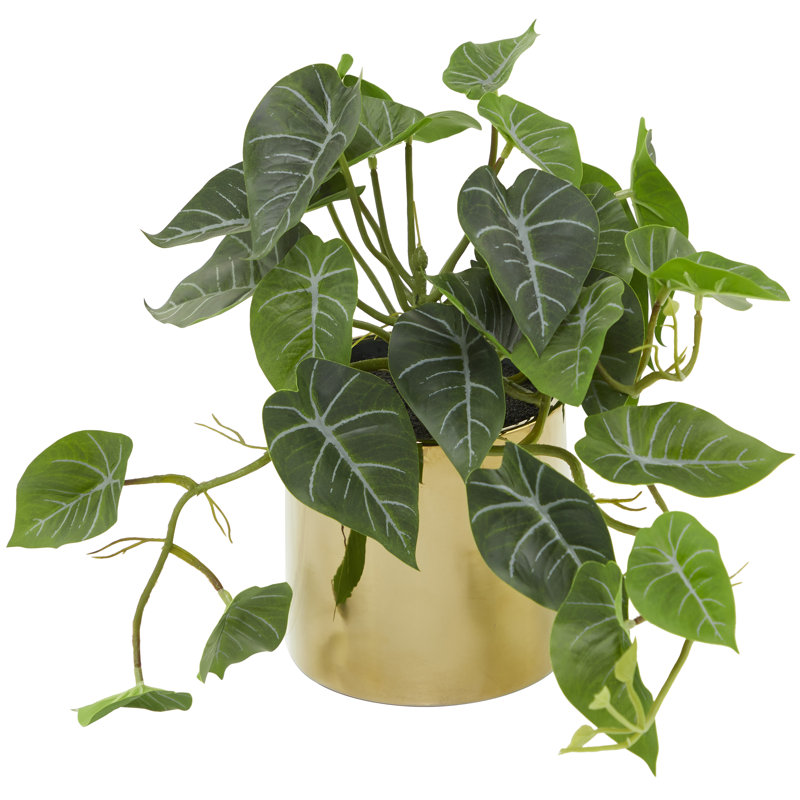 Feuillage artificiel floral et botanique Cole and Gray