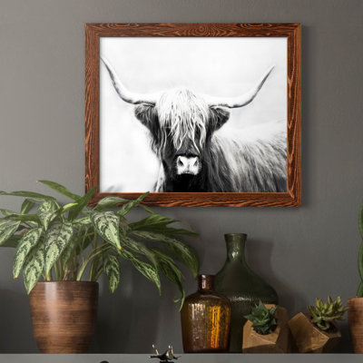 " Highland Longhorn "