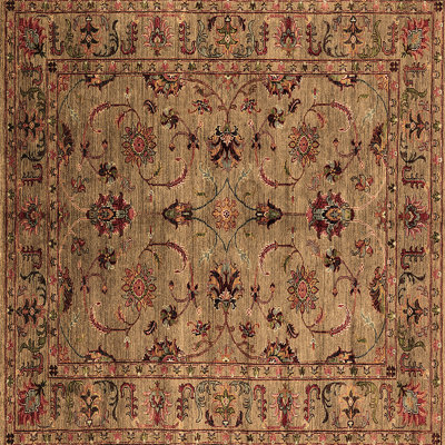 Patris Oriental Indoor Rug