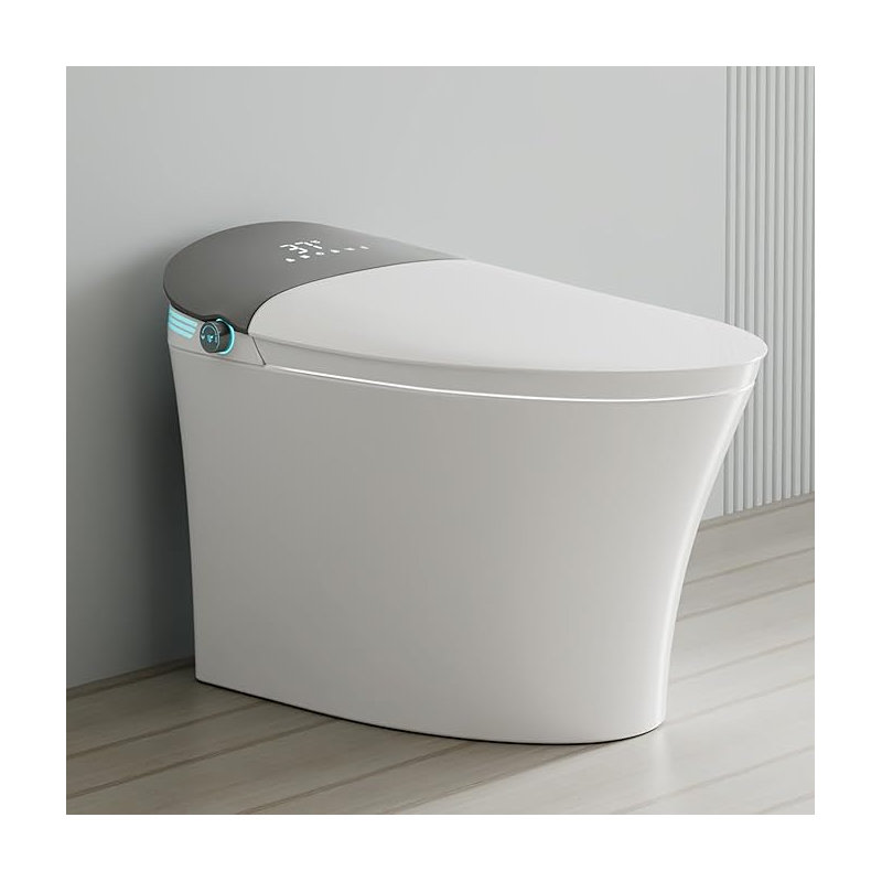 YingZe Smart Toilet With Bidet, One-Piece Elongated, Auto Open/Close & Flush, Heated Seat, Front & Rear Wash, LED Display, Night Light, 12-inch Rough-in, White, Ceramic (White with Grey Screen)