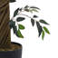 165cm Faux Eucalyptus Tree in Freestanding