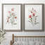 Lin botanique corail III - ensemble de 2 reproductions d'art-11592742-11592762-11592746