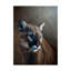 «Cougar» par Etelca, impression sur toile tendue-27648195