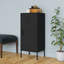 Everaldo Storage Cabinet-1178632070