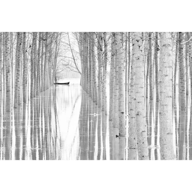 Wrapped Canvas Print, 50.8 cm H x 76.2 cm W