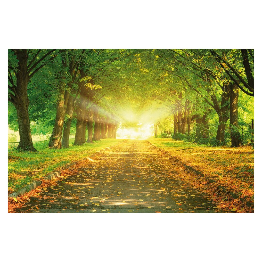 Strukturierte Tapete Autumn Avenue 1,9 m x 288 cm