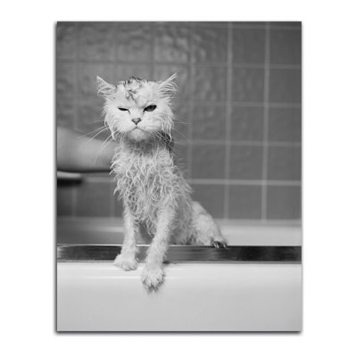 « berte bain », reproduction de photo