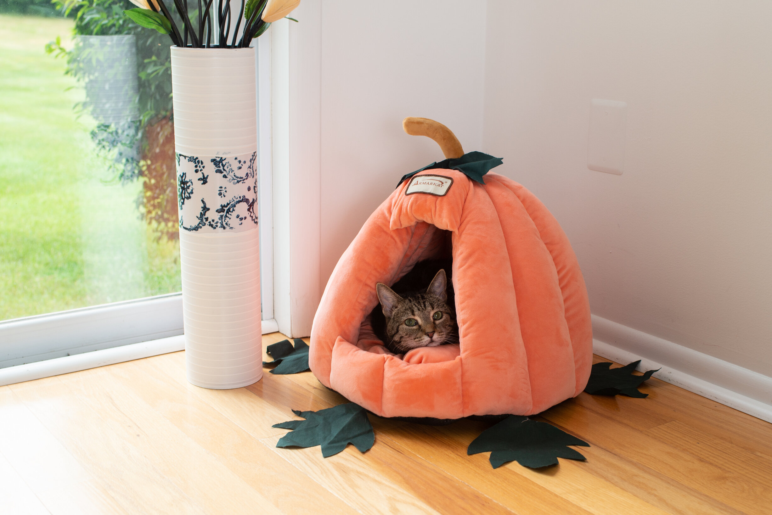 Armarkat Cat Bed Model C85CCS Pumpkin Shape & Reviews - Wayfair Canada