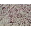 Kendale Oriental Area Rug