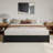 Lamariah Solid Wood Open Frame Storage Bed-887584667-911854974