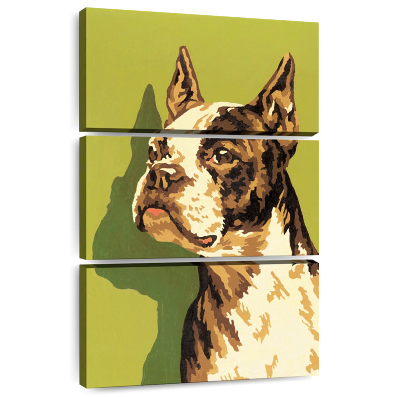 Brampt Boston Terrier, H 57 po x l 36 po