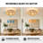 23'' 7 - Blade Rattan Ceiling Fan with Light Kit & Remote Control
