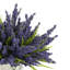 Arrangement floral dans un vase Heather
