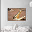 Print on Canvas-1144335897