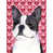 Boston-terrier
