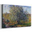 Arbre en fleur près de Vetheuil, 1879 - Toile tendue avec châssis-1943152395