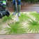 Andalyn Tropical Green/Ivory Reversible Indoor/Outdoor Area Rug