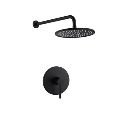 Ensemble de robinet de douche à fonction unique 10 po avec garniture de douche