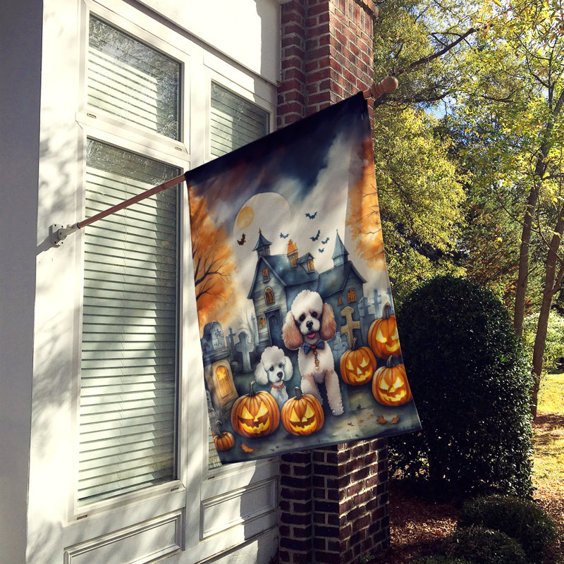 Drapeau de maison d'Halloween en polyester à double face H 40 po x l 28 po