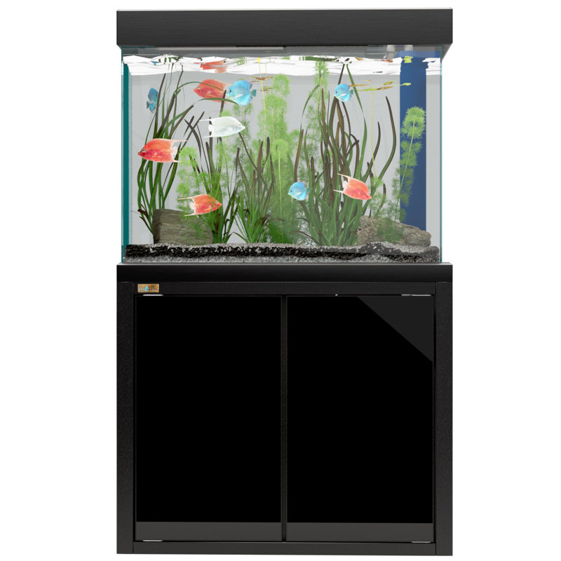 Réservoir d'aquarium rectangulaire, Noir, 100 gallons (H 61 po x l 39,4 po x P 19,7 po)